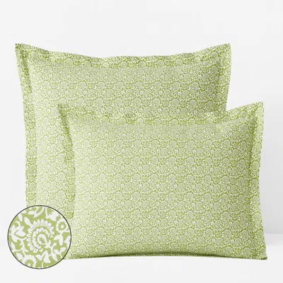 The Company Store Mini Garden Classic Cool Cotton Percale Sham In Green