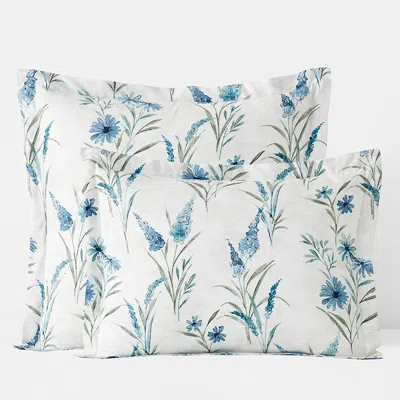 The Company Store Nature's Vine Classic Smooth Sateen Sham In Blue/white