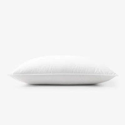 The Company Store Organic Cotton, Down Pillow In White