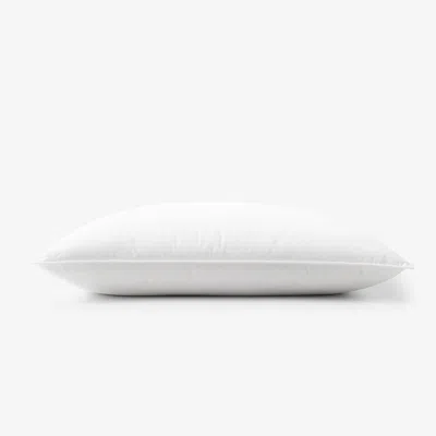 The Company Store Organic Cotton, Down Pillow In White