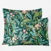 The Company Store Peacock Classic Smooth Sateen Sham In Green