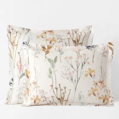 The Company Store Peyton Premium Smooth Sateen Sham In Beige