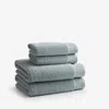 The Company Store Plush Spa Solid 4-piece Bath & Hand Towel Set
