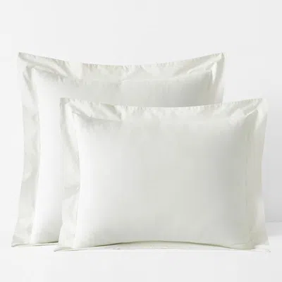 The Company Store Premium Cool Supima® Cotton Percale Sham In Ivory
