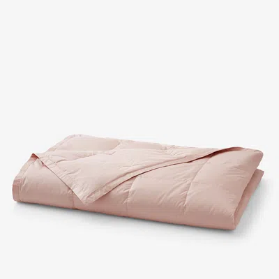 The Company Store Premium Down Blanket In Pink