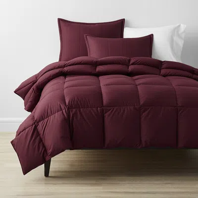 The Company Store Premium Down Ultra Warmth Comforter In Purple/red