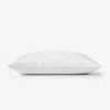 The Company Store Premium Organic Cotton Down Pillow In White