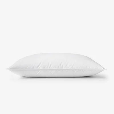 The Company Store Premium Organic Cotton Down Pillow In White