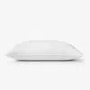The Company Store Premium Organic Cotton Down Pillow In White