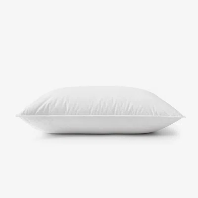 The Company Store Premium Organic Cotton Down Pillow In White