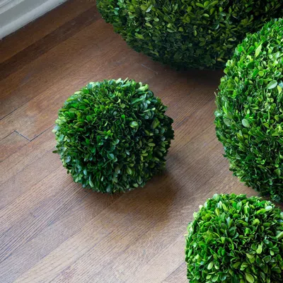 The Company Store Preserved Boxwood Ball In Green