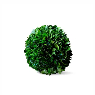 The Company Store Preserved Boxwood Ball In Green