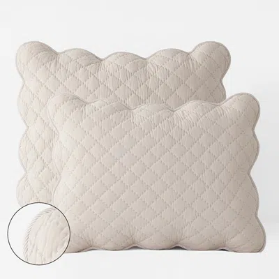The Company Store Scallop Quilted Sham