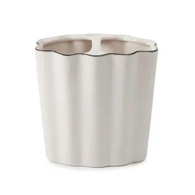 The Company Store Scallop Toothbrush Holder In White