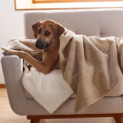 The Company Store Sherpa Waterproof Blanket In Beige Tan
