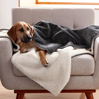 The Company Store Sherpa Waterproof Blanket In Dark Gray