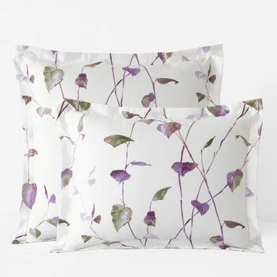 The Company Store Spring Leaf Premium Smooth Wrinkle-free Sateen Sham In Green/ivory/purple