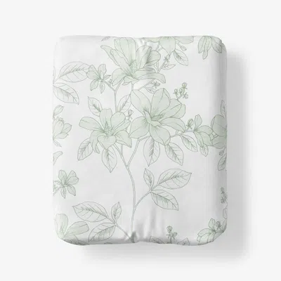 The Company Store Spring Vine Classic Smooth Sateen Fitted Bed Sheet In Green/ivory