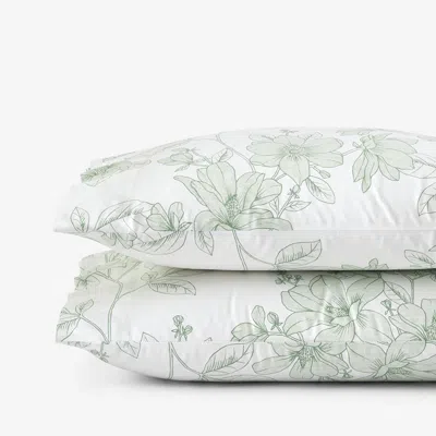 The Company Store Spring Vine Classic Smooth Sateen Pillowcase Set In Green/ivory