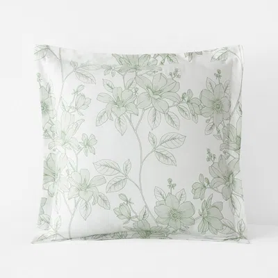 The Company Store Spring Vine Classic Smooth Sateen Sham In Green