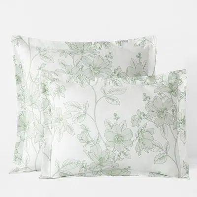 The Company Store Spring Vine Classic Smooth Sateen Sham In Green/ivory