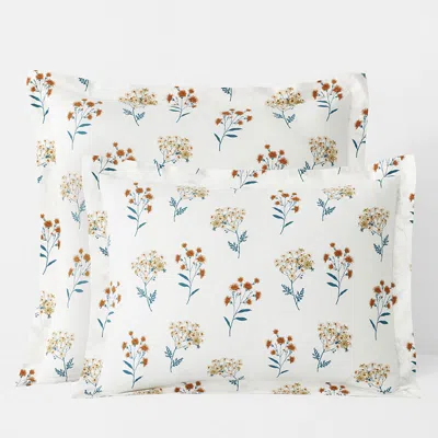 The Company Store Stem Bouquet Classic Cool Cotton Percale Sham In Blue/orange/coral
