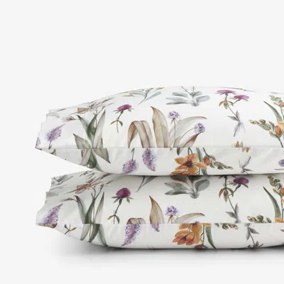The Company Store Stem Florals Premium Smooth Wrinkle-free Sateen Pillowcase Set In Multi