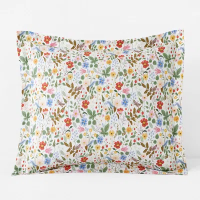 The Company Store Strawberry Fields Classic Cool Cotton Percale Sham In Pattern