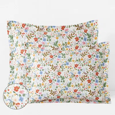 The Company Store Strawberry Fields Classic Cool Cotton Percale Sham In Blue