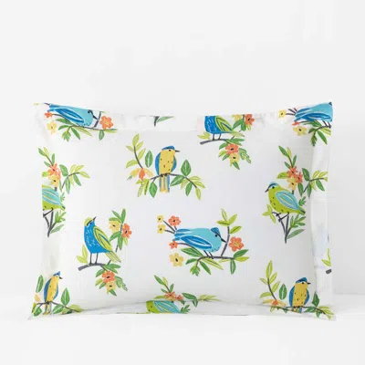 The Company Store Summer Prints Classic Cool Cotton Percale Sham In Multi