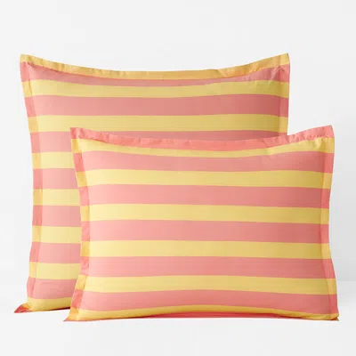 The Company Store Sunshine & Blooms Classic Cool Cotton Percale Sham