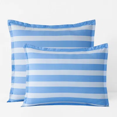 The Company Store Sunshine & Blooms Classic Cool Cotton Percale Sham