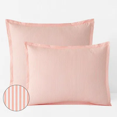 The Company Store Sunshine & Blooms Classic Cool Cotton Percale Sham