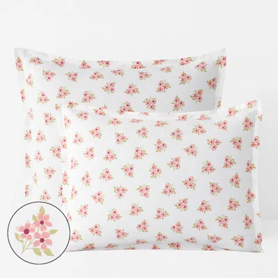 The Company Store Sunshine & Blooms Classic Cool Cotton Percale Sham