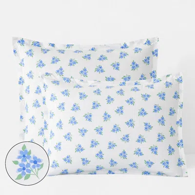 The Company Store Sunshine & Blooms Classic Cool Cotton Percale Sham