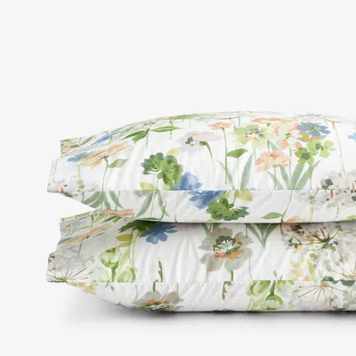 The Company Store Tania Floral Premium Smooth Wrinkle-free Sateen Pillowcase Set