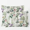 The Company Store Timeless Garden Classic Smooth Sateen Sham In Green/ivory