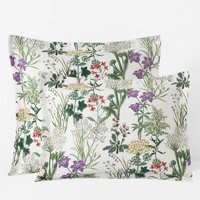 The Company Store Timeless Garden Classic Smooth Sateen Sham In Green/ivory