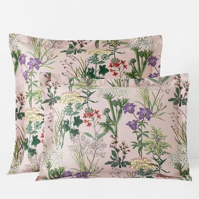 The Company Store Timeless Garden Classic Smooth Sateen Sham In Green/pink