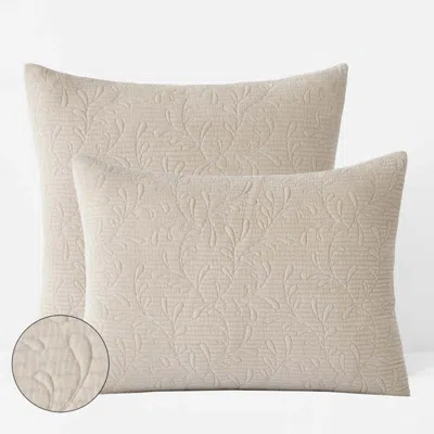 The Company Store Tinsley Leaf Quilted Sham In Brown