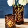 The Company Store Tortoise Candle Holder, Set Of 2 In Brown