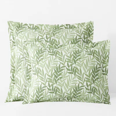 The Company Store Tulum Leaf Classic Cool Cotton Percale Sham