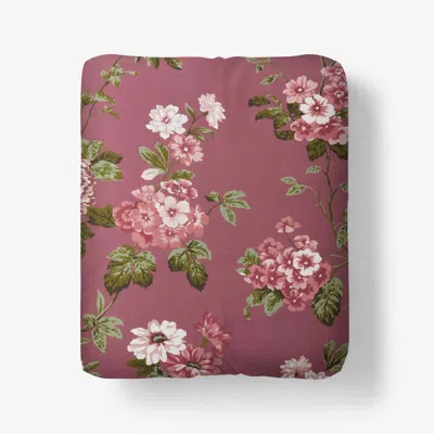 The Company Store Victorian Bloom Premium Smooth Wrinkle-free Sateen Fitted Bed Sheet In Pink