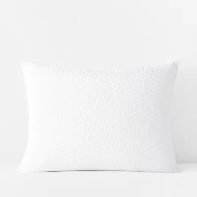 The Company Store Voile Sham In White