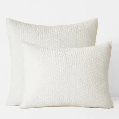 The Company Store Voile Sham In White