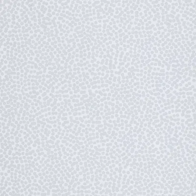 The Company Store Wallpaper Swatch In Dots Gray