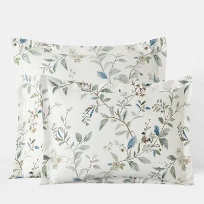 The Company Store Whispering Leaves Premium Smooth Wrinkle-free Sateen Sham In Blue/green/ivory