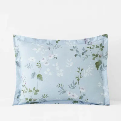 The Company Store Wispy Meadow Premium Smooth Wrinkle-free Sateen Sham In Blue
