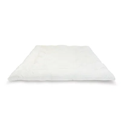 The Company Store Wooly 3" Organic Wool Mattress Topper In Ivory