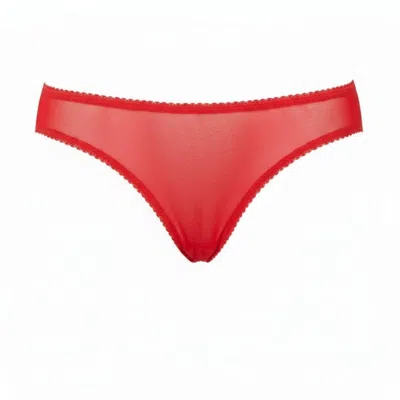 The Coolgirl Nyc Women's Jane Thong In Red Mesh